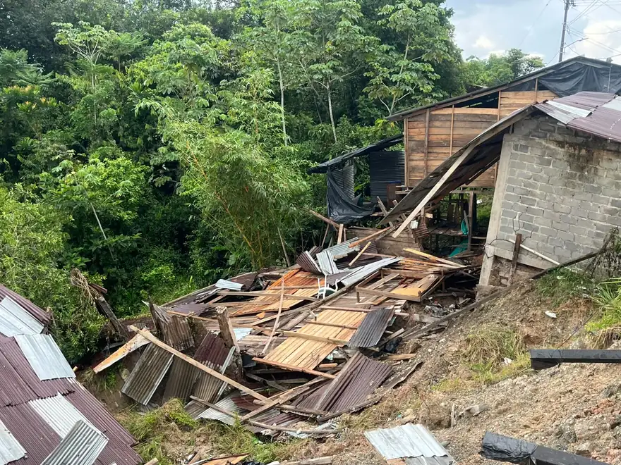 Vivienda de madera y zinc del Chocó colapsada entre la vegetación tras el terremoto